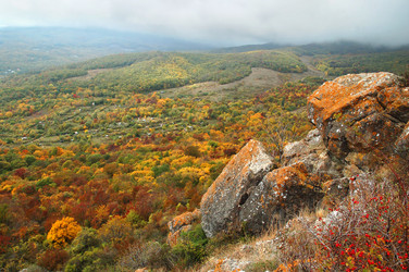 Similar image 825114