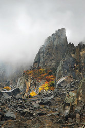 Similar image 825117