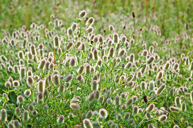 Similar image 825124