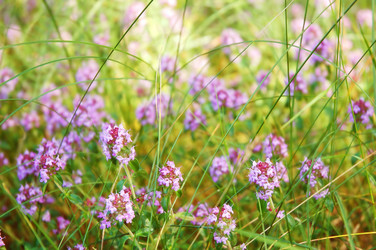 Similar image 825127