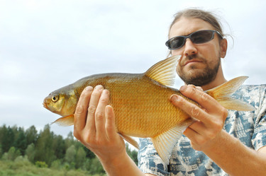 Similar image 825141