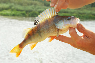 Similar image 825142