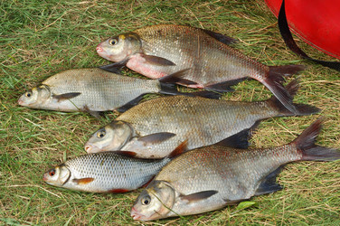 Similar image 825143