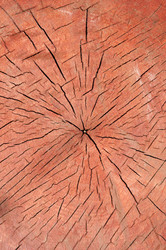 Similar image 825154