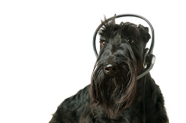 Similar image 825178