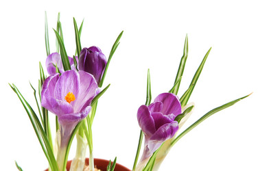 Similar image 825179