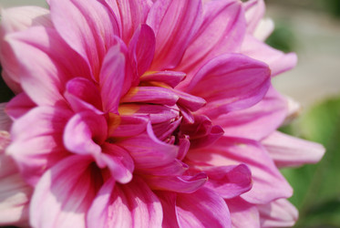 Similar image 825222