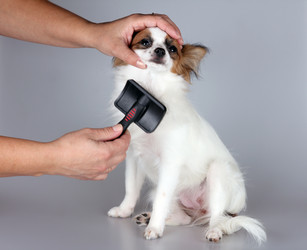 Similar image 825225