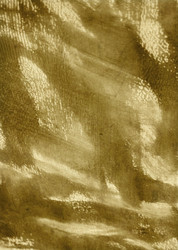 Similar image 825270