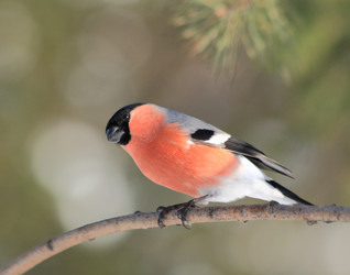 Similar image 825281