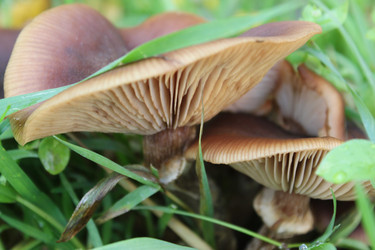 Similar image 825286