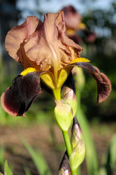 Similar image 825291