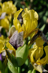 Similar image 825293