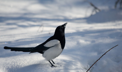 Similar image 825314