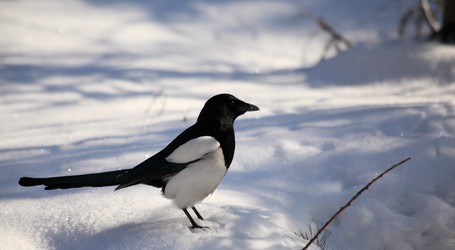 Similar image 825315