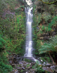 Similar image 825328