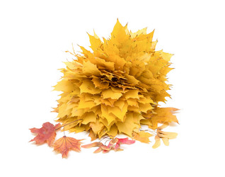 Similar image 825364