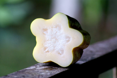 Similar image 825453