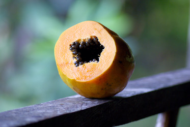 Similar image 825478