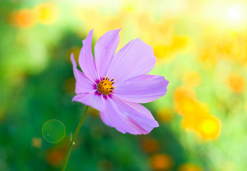 Similar image 825492