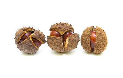 Similar image 825507