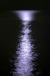 Similar image 825509