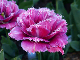 Similar image 825558