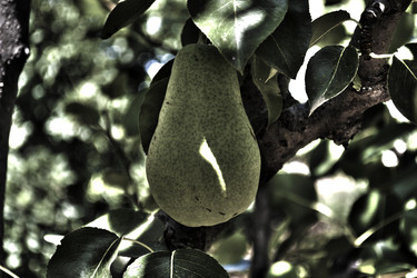 Similar image 825560