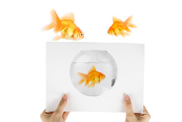 Similar image 825562