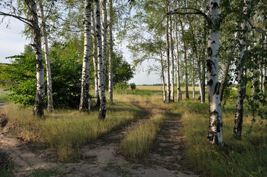 Similar image 825582