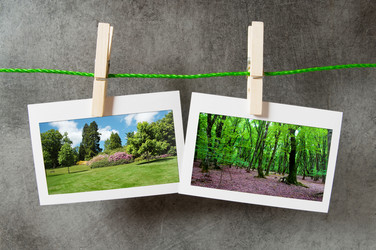 Similar image 825647