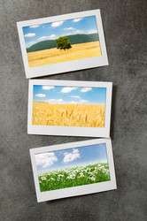 Similar image 825648