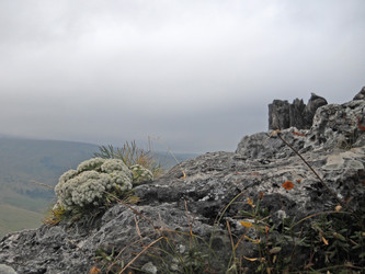 Similar image 825666