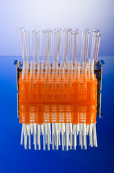 Similar image 825696