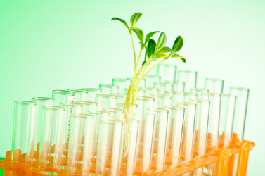 Similar image 825700