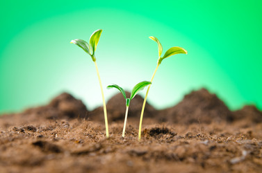 Similar image 825705