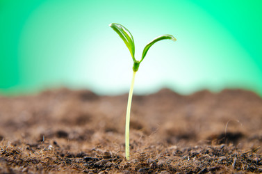 Similar image 825706