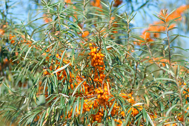 Similar image 825818