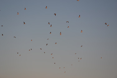 Similar image 825888