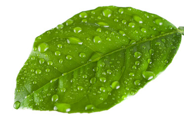 Similar image 825930