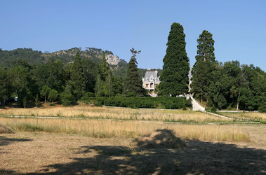 Similar image 825935