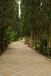 Similar image 825945