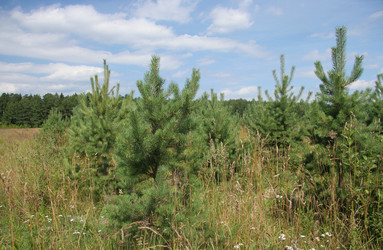 Similar image 825946