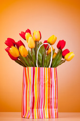 Similar image 826017