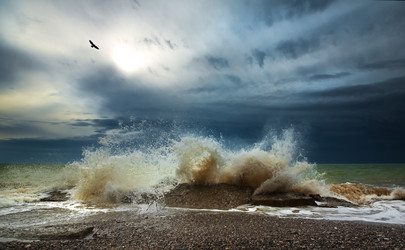 Similar image 826032