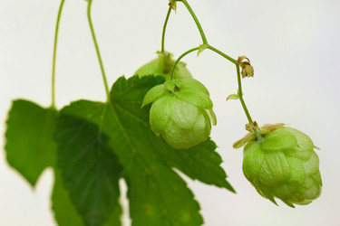 Similar image 826041