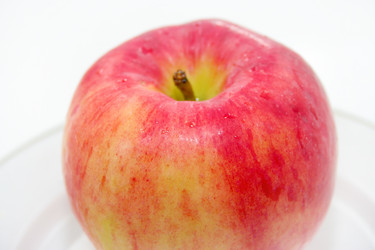 Similar image 826053