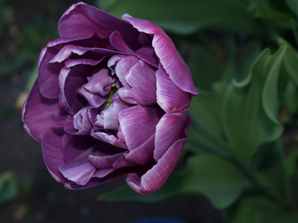 Similar image 826080