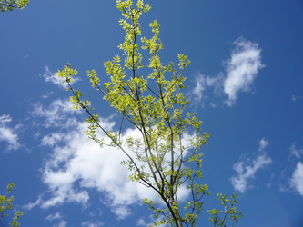 Similar image 826081