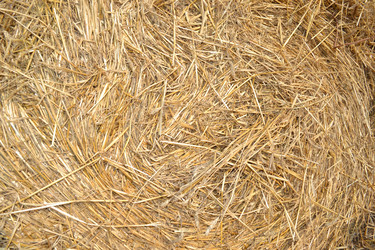 Similar image 826107